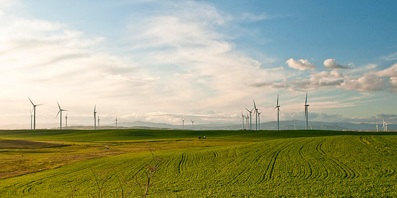 Wind Mills in Spring