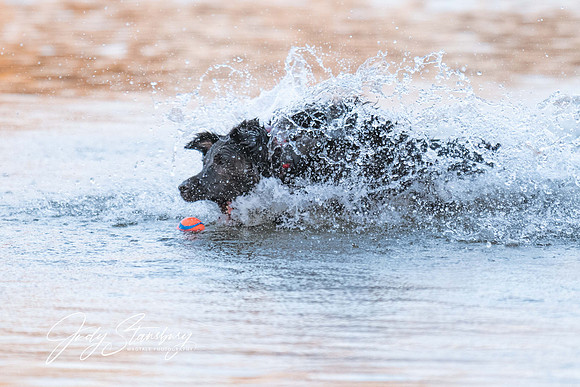 AmRiv_jkstans_8503524