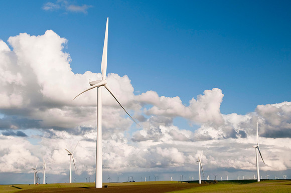 Wind Mills in Spring