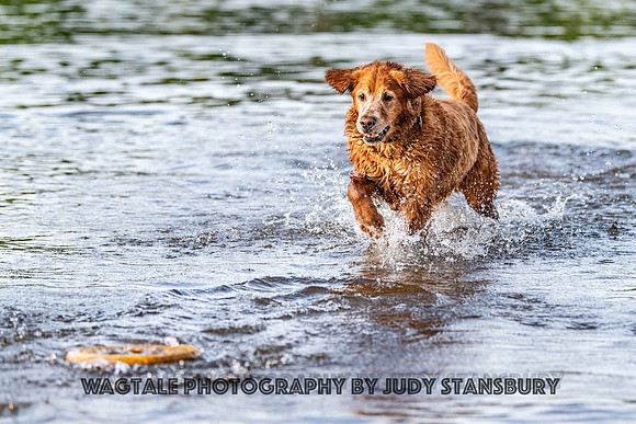 AmRiv_JKS_6706