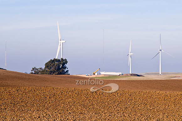Wind Farm