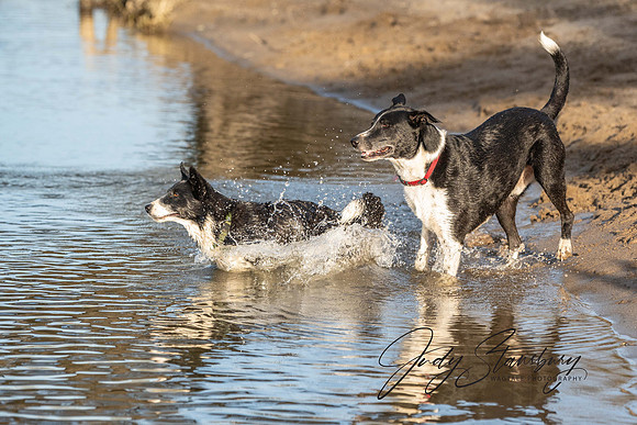 AmRiv_JKS_1694