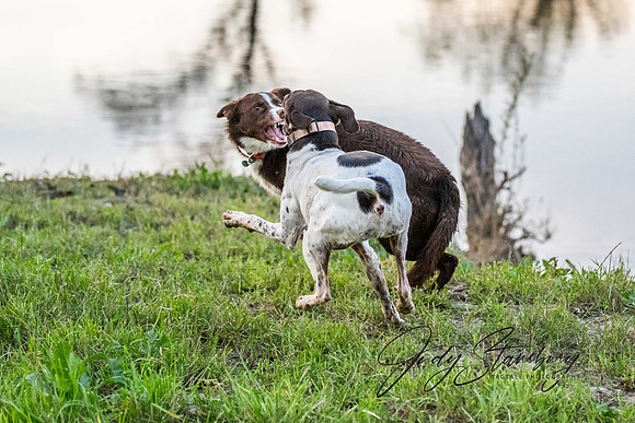 AmRiv_JKS_1864