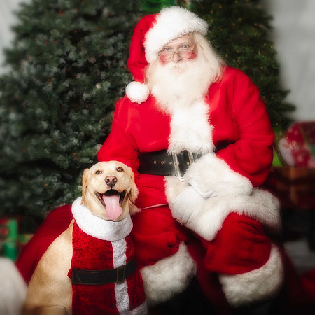 SantaPaws-2-173-2
