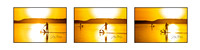 Los Paddler x 3 Framedft