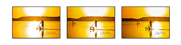 Los Paddler x 3 Framedft
