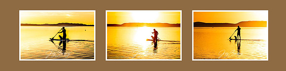 Paddler x3 xbrowndft