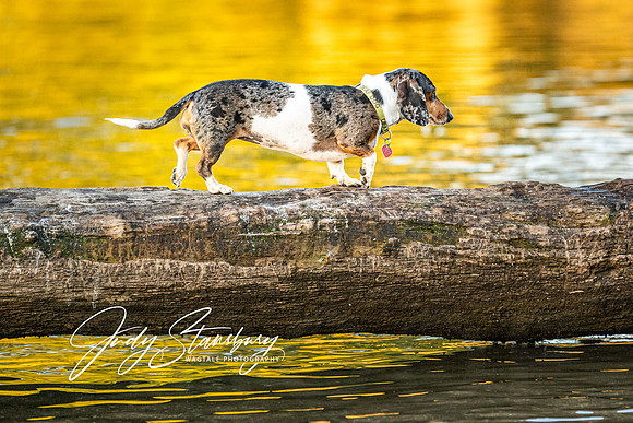 AmRiv_JKS_0261