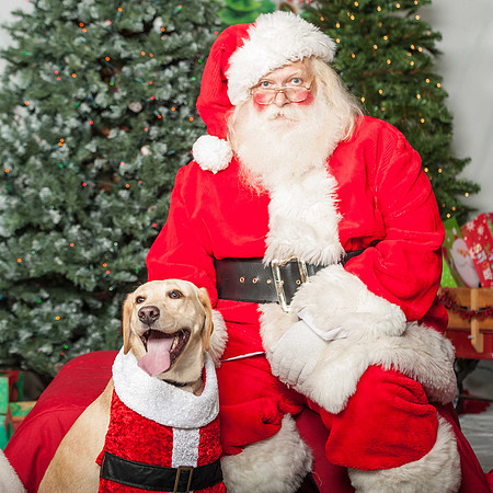 SantaPaws-2-172