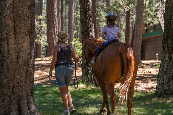 Tahoe_jks__8503618-56