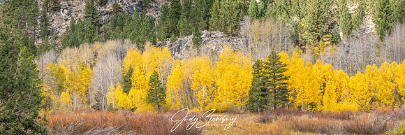 TahoeFall_jks__8509356-Pano