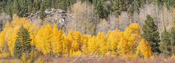 TahoeFall_jks__8509374-Pano