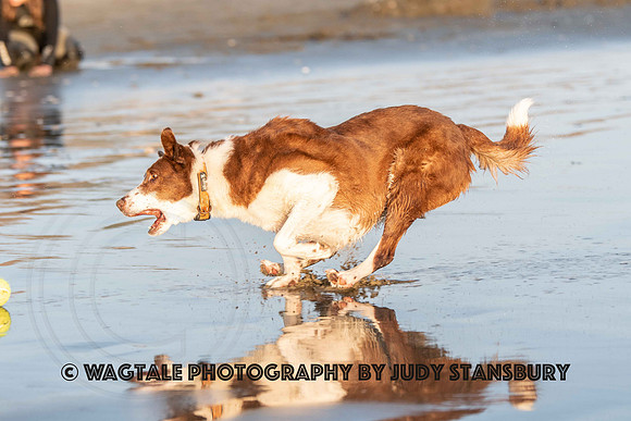 Cayucos_JKS_6321