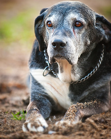 "Doobie"1