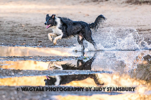 AmRiv_jks_4182