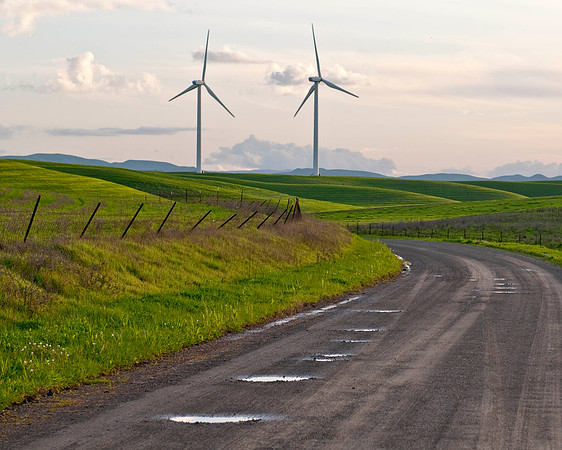Wind Mills in Spring