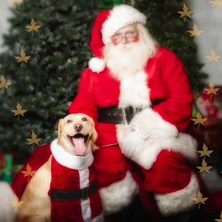 SantaPaws-2-173-2-2