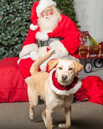 SantaPaws-2-208