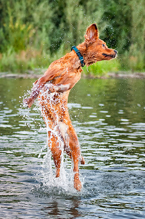 "Finn" Grace in Water
