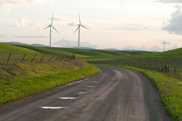 Wind Mills in Spring