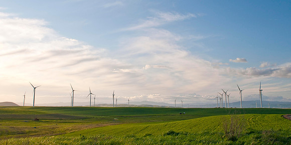 Wind Mills in Spring