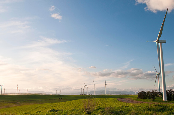 Wind Mills in Spring