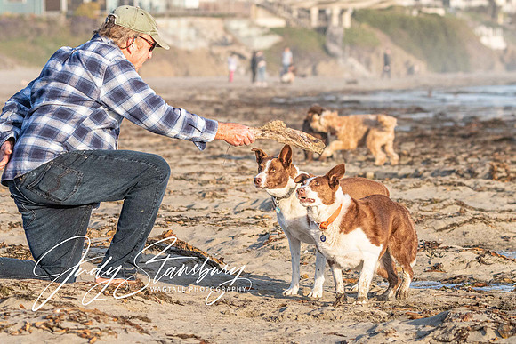 Cayucos_jks_8505932
