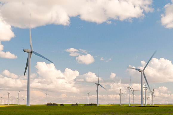 Wind Mills in Spring