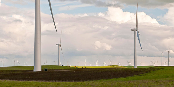 Wind Mills in Spring