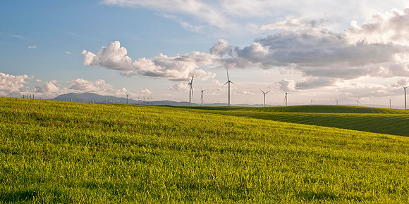 Wind Mills in Spring
