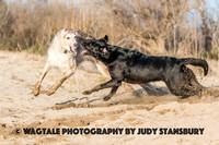 AmRiv_JKS_8023
