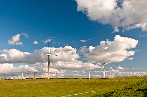 Wind Mills in Spring