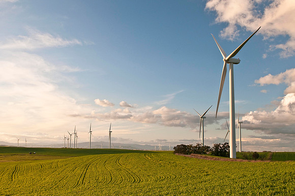 Wind Mills in Spring