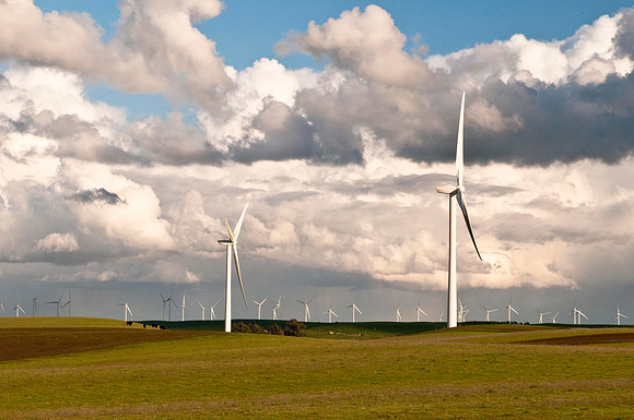 Wind Mills in Spring
