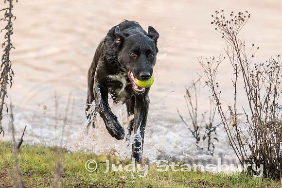 AmRiv_jks-6578