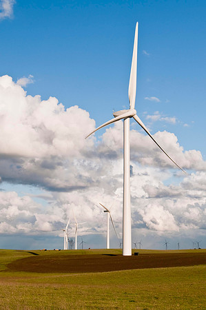 Wind Mills in Spring