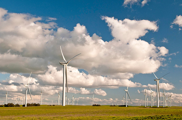 Wind Mills in Spring