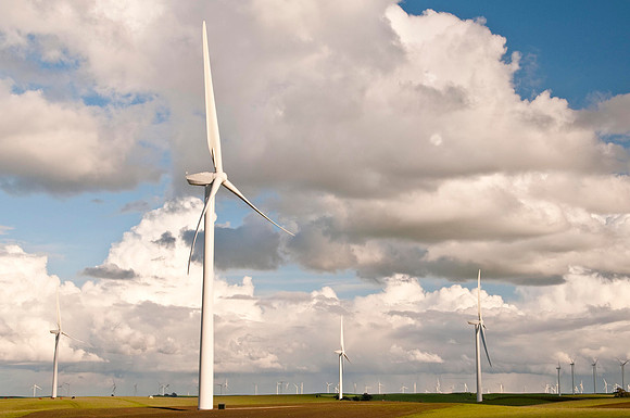 Wind Mills in Spring