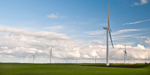 Wind Mills in Spring