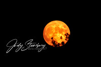 AmRiv_jkstans_8500011