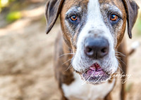 jkstans_-2328