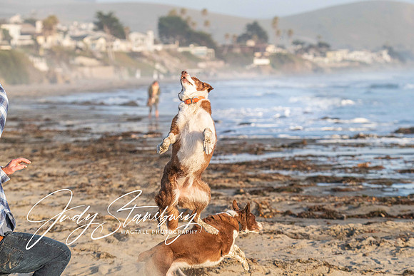 Cayucos_jks_8506147