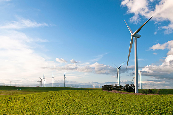 Wind Mills in Spring