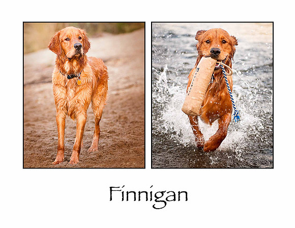 Finnigan