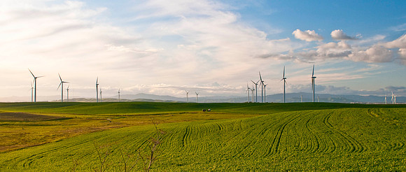 Wind Mills in Spring