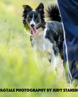 AmRiv_JKS_7857