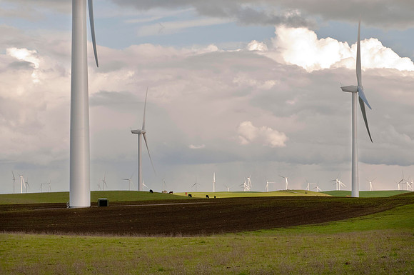 Wind Mills in Spring