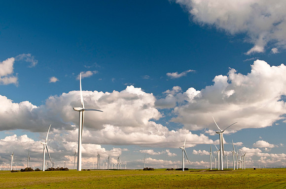 Wind Mills in Spring