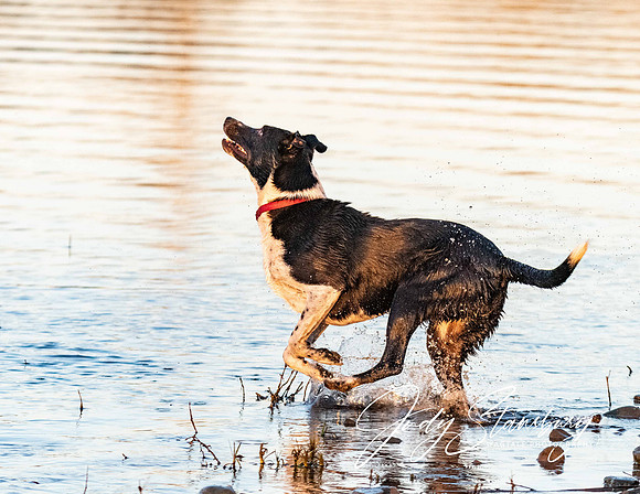 AmRiv_jks_8500246