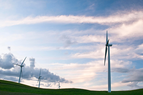 Wind Mills in Spring